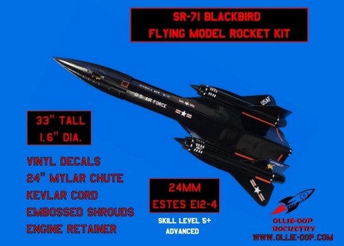 Blackbird flying model - flying,