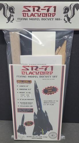 Blackbird flying model - flying,